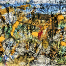 DSCN7658.jpg
