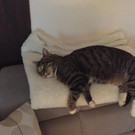 IMG-20190506-WA0000.jpg