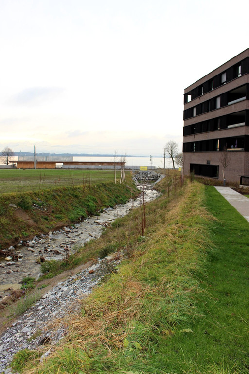 Kugelbeerbach Hochwasserschutz BF ZZZ Fotos DOKU Dezember 2020 _8_.JPG