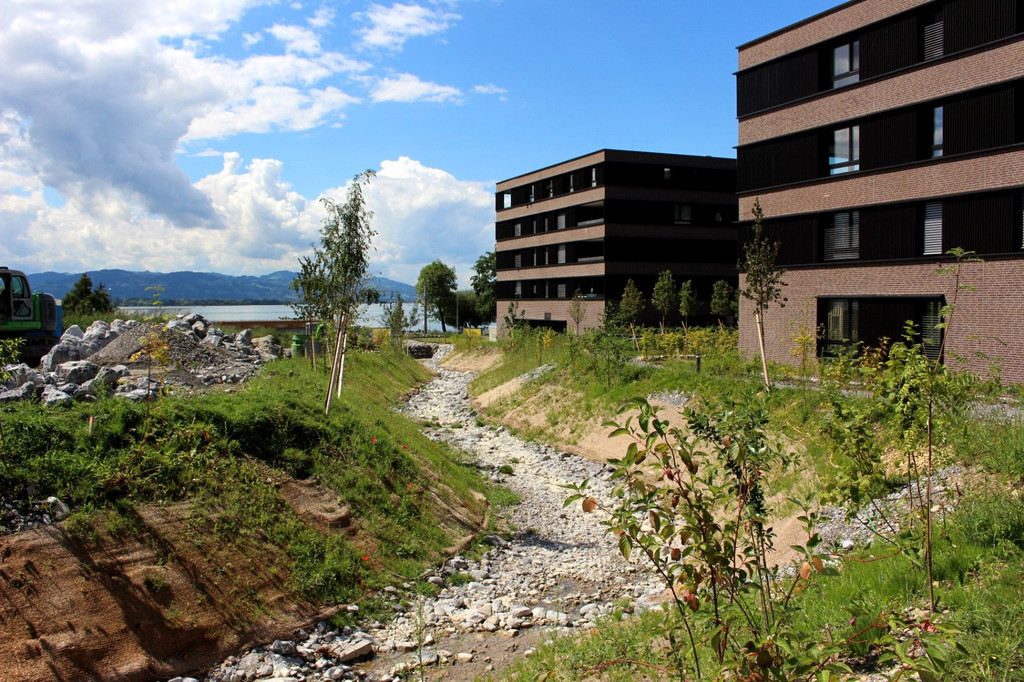 Kugelbeerbach Hochwasserschutz BF ZZZZ Fotos DOKU August 2020 _7_.JPG