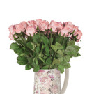 bellaflora_Krug Rose__ 21_99 1182x1772.jpg