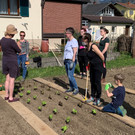 Garten G__tzis _4_.jpg