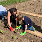 Garten_G__tzis__2_.jpg