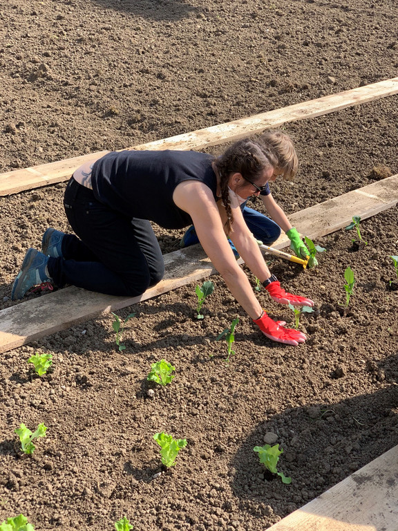 Garten_G__tzis__3_.jpg