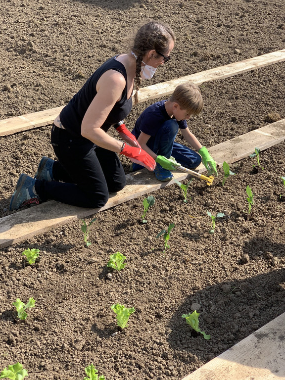 Garten-G__tzis-_4_.jpg