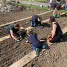 Garten-G__tzis-_5_.jpg