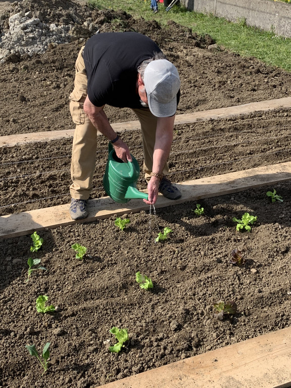 Garten-G__tzis-_6_.jpg