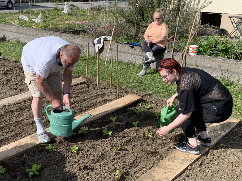 Garten-G__tzis-_7_.jpg