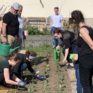 Garten-G__tzis-_8_.jpg