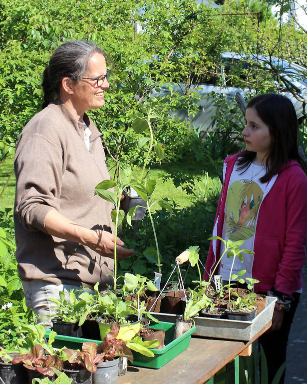 Lochau Pflanzentauschb__rse bei MELITTA Sohm Lochau Mai 2020 _2__Christian Schrangel.jpg