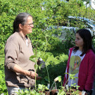 Lochau Pflanzentauschb__rse bei MELITTA Sohm Lochau Mai 2020 _2__Christian Schrangel.jpg