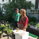 Lochau Pflanzentauschb__rse bei MELITTA Sohm Lochau Mai 2020 _6_ Christian Schrangel.jpg