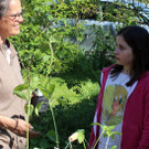 Lochau Pflanzentauschb__rse bei MELITTA Sohm Lochau Mai 2020 _2_ Christian Schrangel  vol_at.jpg