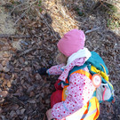 DSC00908.JPG