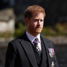 AFP_98864D.jpg