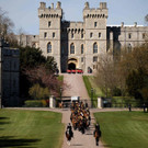 AFP_98866M.jpg