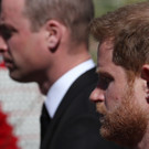 AFP_9887JJ.jpg