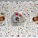 UNIVERSUM_EVOLUTION_1_1274.jpg