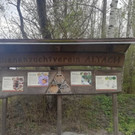 altachlauf5.jpg