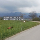 altachlauf99.jpg
