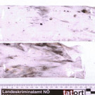 Überfall auf Bauernhof