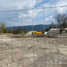Bild von iOS _45_.jpg