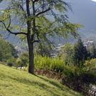_DSC00230003.JPG