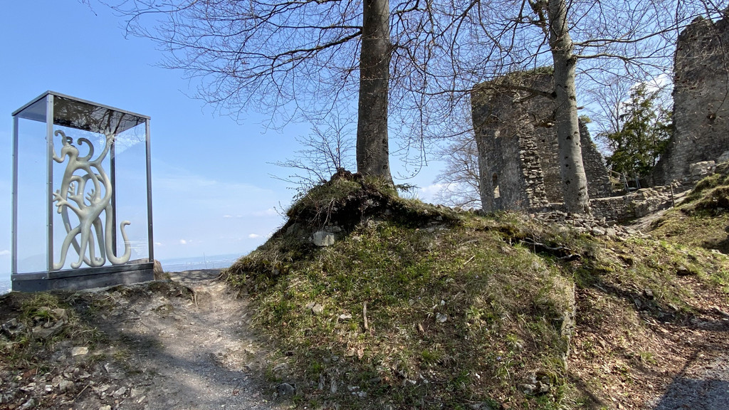 IMG_E9685.JPG