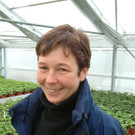 Hartmann Barbara hoch GA.jpg