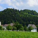 Die heimischen Kräuter im Kloster Gwiggen