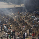 APTOPIX_Virus_Outbreak_India_Funerals_Photo_Gallery_20523.jpg