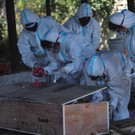 Virus_Outbreak_India_Funerals_Photo_Gallery_73924.jpg