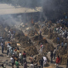 Virus_Outbreak_India_Funerals_Photo_Gallery_20523.jpg