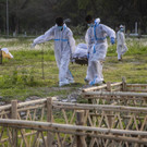 Virus_Outbreak_India_59553.jpg