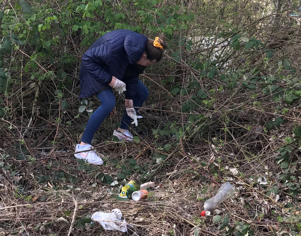 Trash Collectors1.jpg