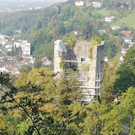 burgmontfort3.jpg