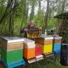 Bilder vom Bienenzuchtverein Koblach-Meiningen
