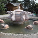 IMG_56321.JPG