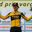file7flgdgg7iibmpqmues8.jpg