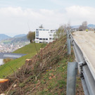 P4178517.JPG