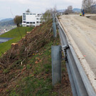 P4178522.JPG