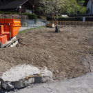 P4248589.JPG