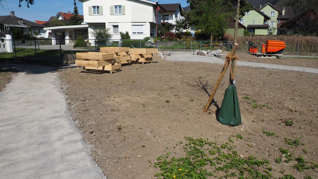 P4248596.JPG