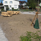 P4248596.JPG