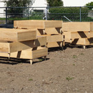 P4248599.JPG