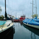 image00014.jpeg