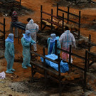 2021-05-02T160141Z_132808546_RC2S7N9TD0WS_RTRMADP_3_HEALTH-CORONAVIRUS-INDIA.JPG