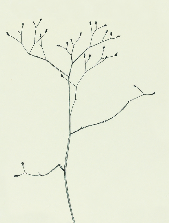 KD_Auswahl_08_Winter 1.jpg