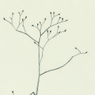 KD_Auswahl_08_Winter 1.jpg