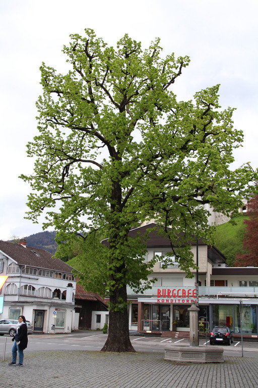 XIMG_3626.jpg